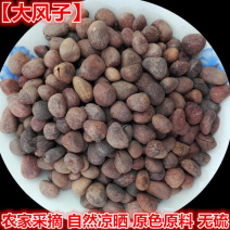 大风子，正品大枫子质量保证，经营各种中药材欢迎咨询合作！
