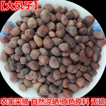 大风子，正品大枫子质量保证，经营各种中药材欢迎咨询合作！
