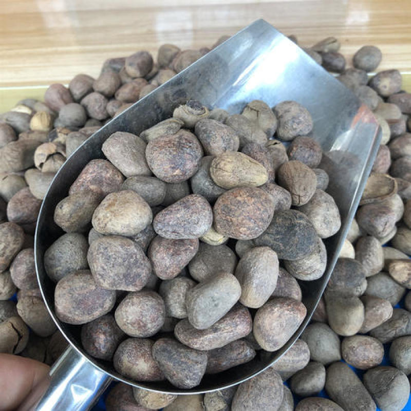 大风子，正品大枫子质量保证，经营各种中药材欢迎咨询合作！
