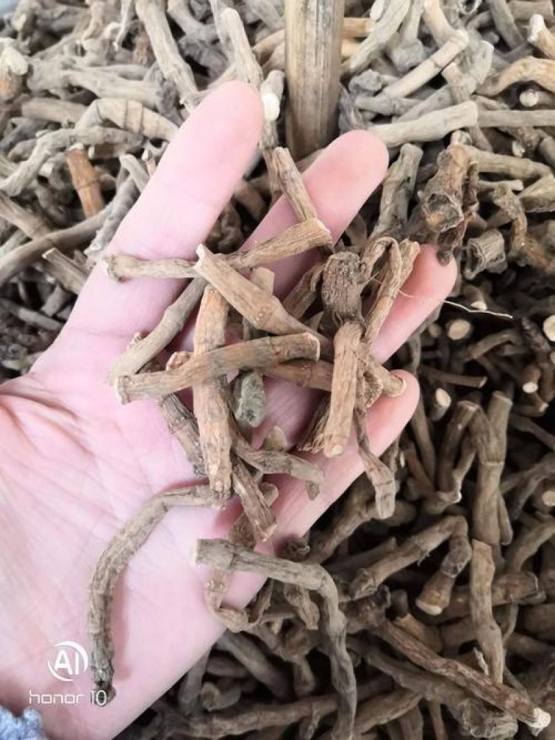 三白草，正品三白草根，经营各种中药材欢迎咨询合作
