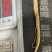长白山优质鲜人参，新鲜发货，优质小人参煲汤鲜嫩