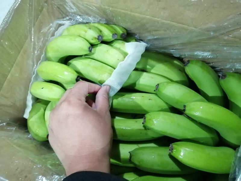 香蕉