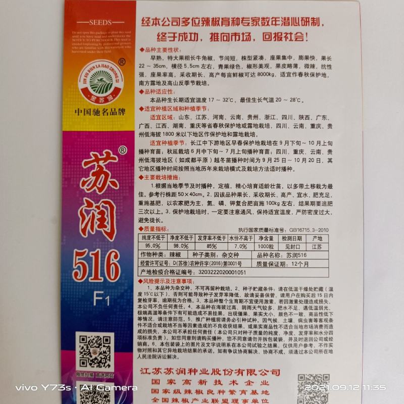 牛角椒种子苏润大椒苏润516大果型牛角椒高产品种
