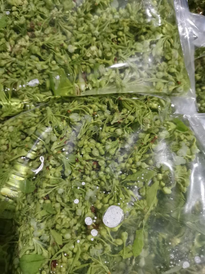 云南野菜