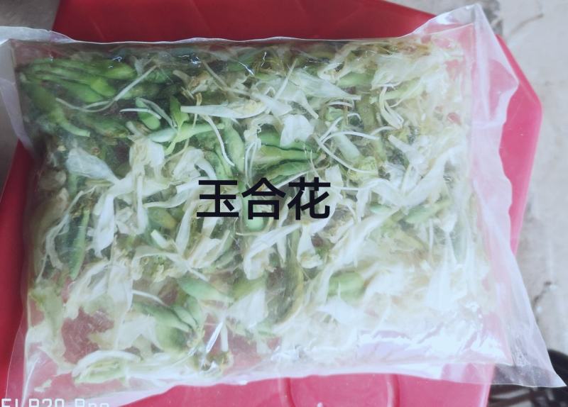 云南野菜