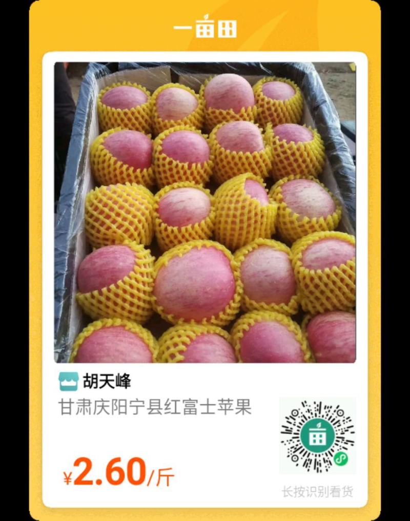 庆阳红富士