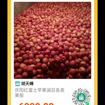 庆阳红富士