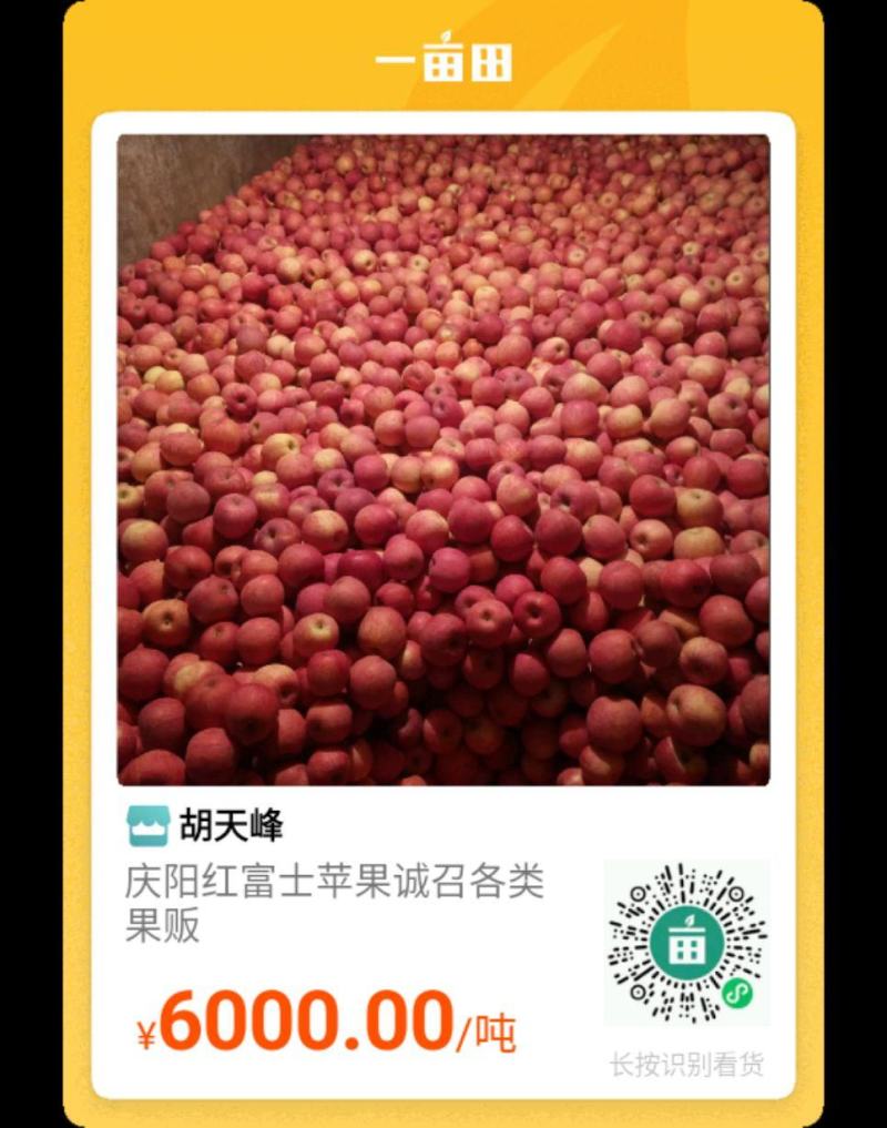 庆阳红富士
