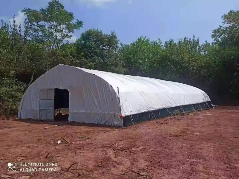厂价直销全套养殖鸡鸭猪大棚，种植大棚温室大棚各种规格定做