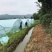厂价直销全套养殖鸡鸭猪大棚，种植大棚温室大棚各种规格定做