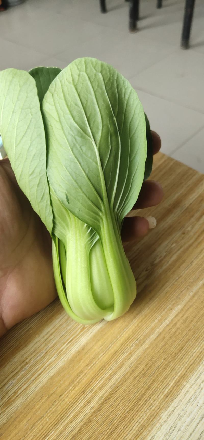 上海青（大头）。（电商超市）市场批发。常年大量供应