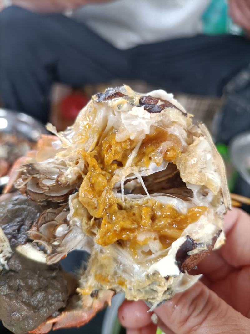 这里是河北唐山好吃的螃蟹来啦