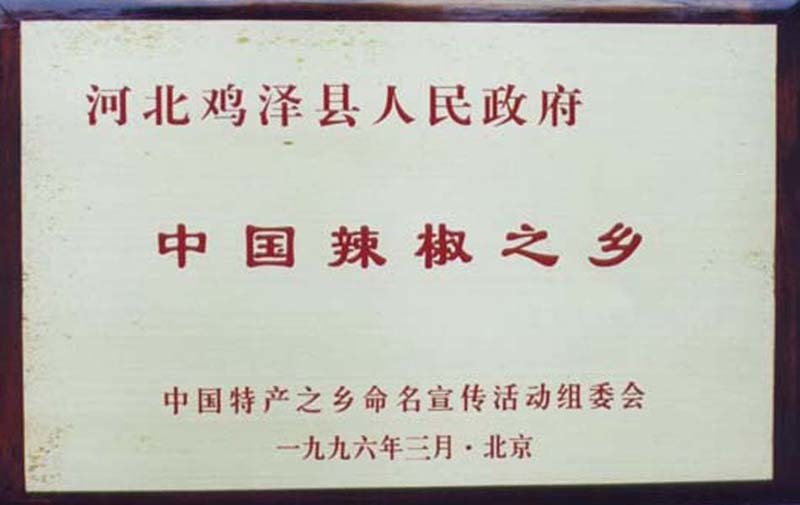 羊角红一号鸡泽羊角椒二荆条辣椒种子正品包邮