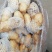 山东荷兰保鲜箱装土豆