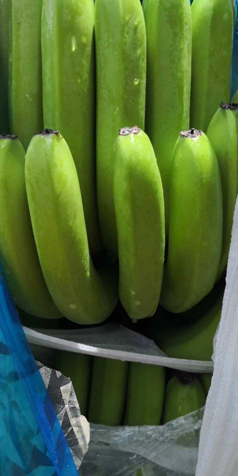 香蕉