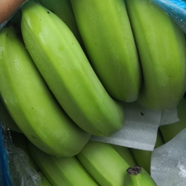 香蕉