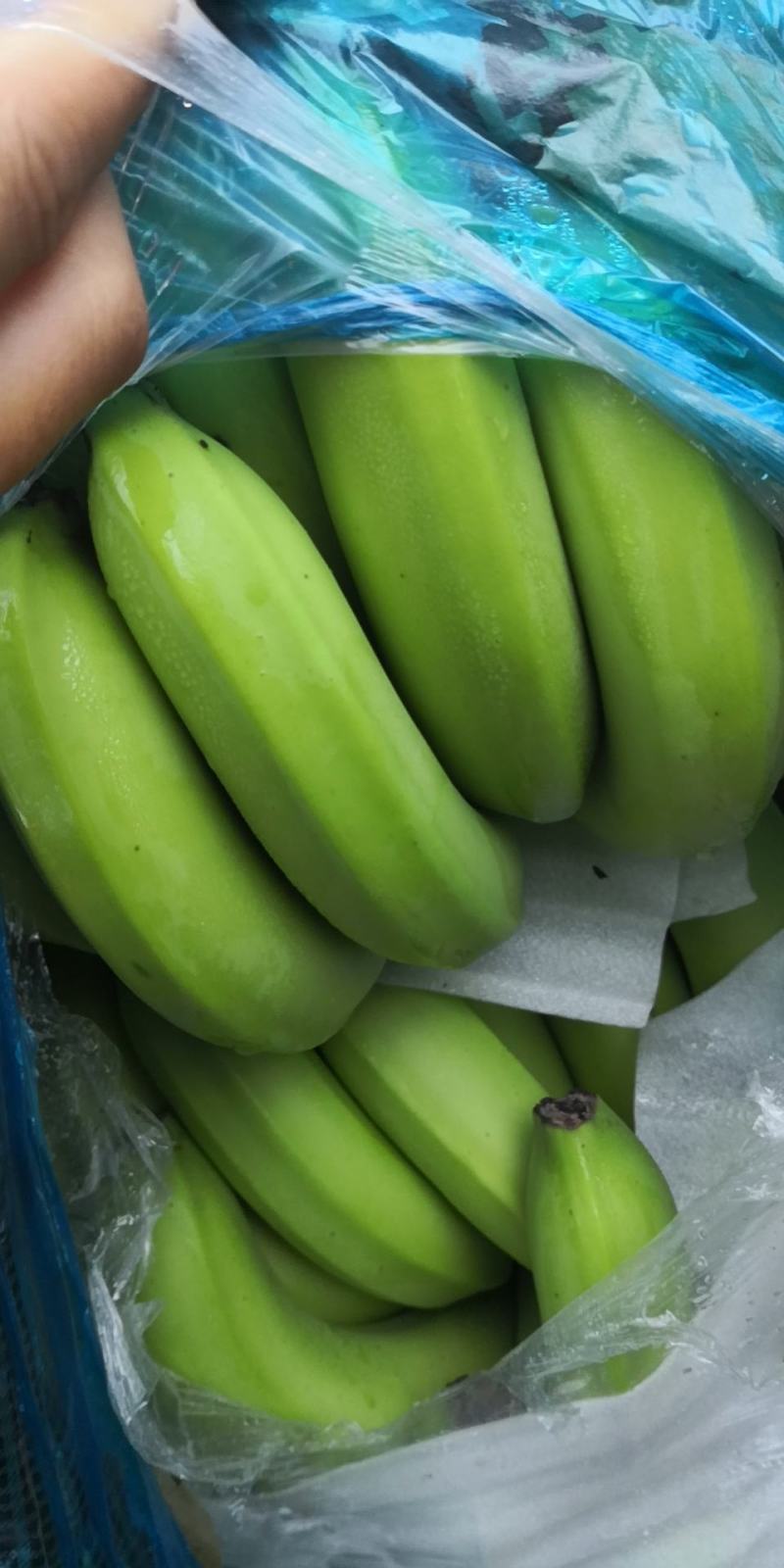 香蕉
