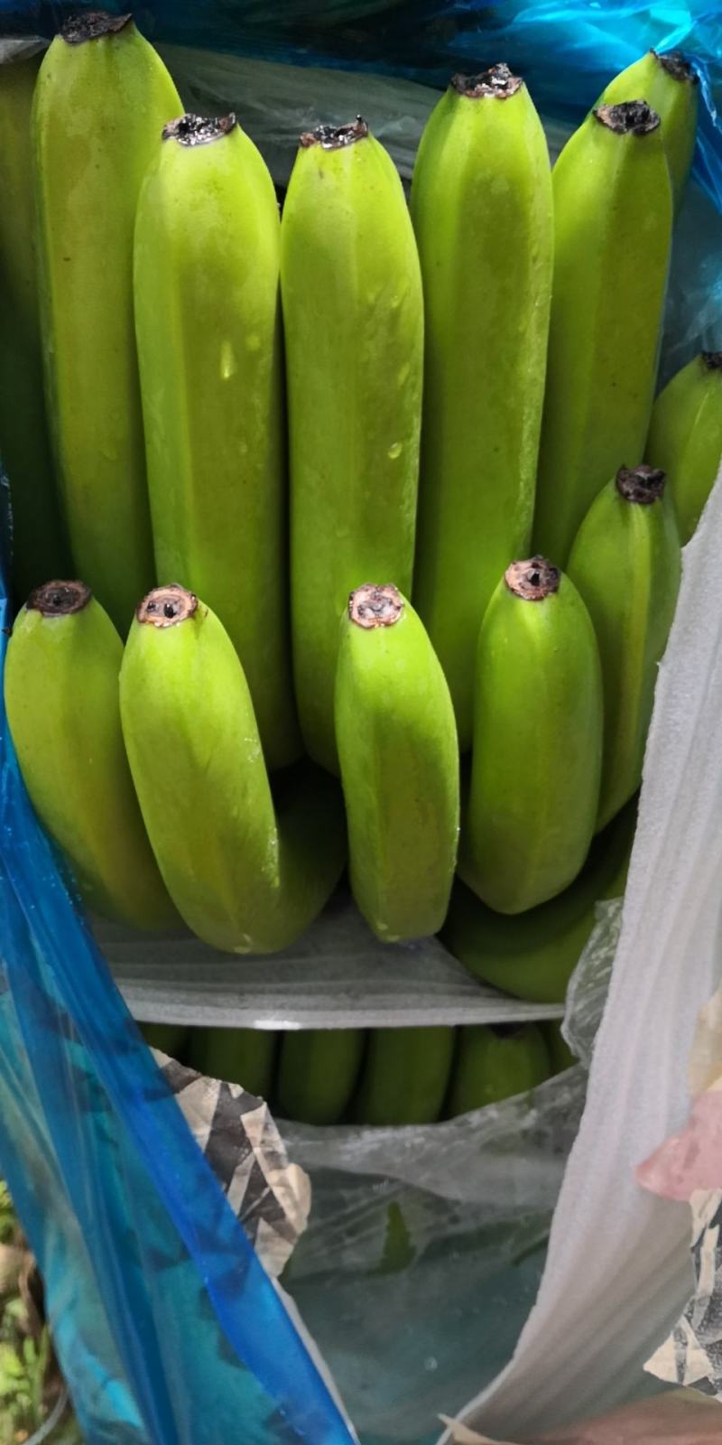 香蕉