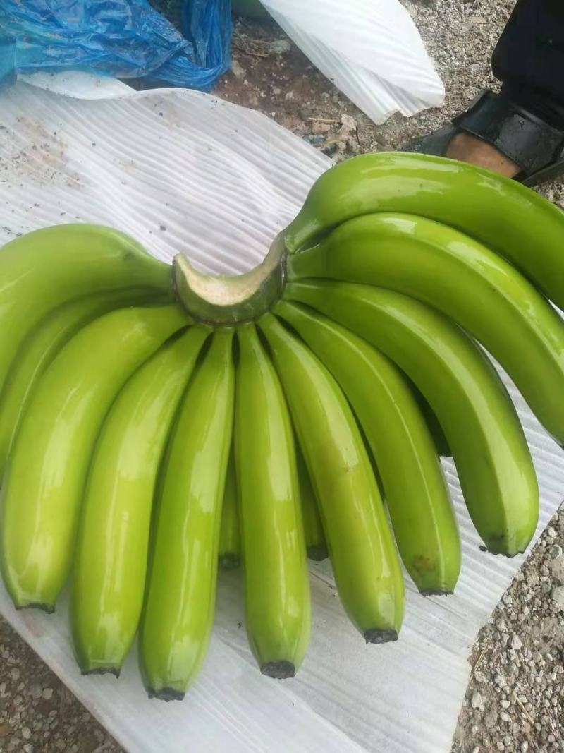 香蕉