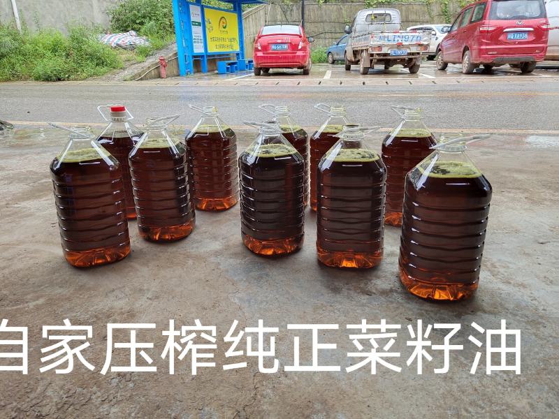 四川屏山县菜油产地直供专供批发