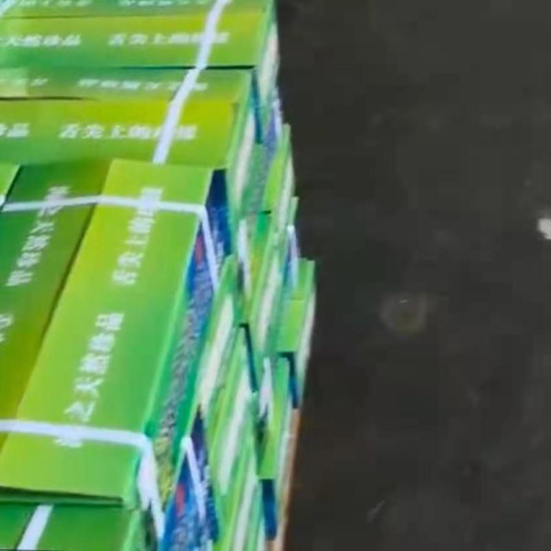 海带苗烘干海带苗海带芽火锅海带苗串串海带苗产地直接发货