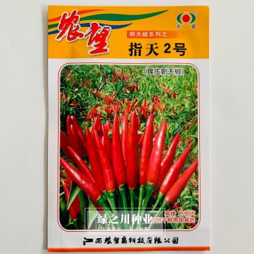 农望指天2号簇生朝天椒种子强辣鲜食干鲜两用种籽抗倒伏