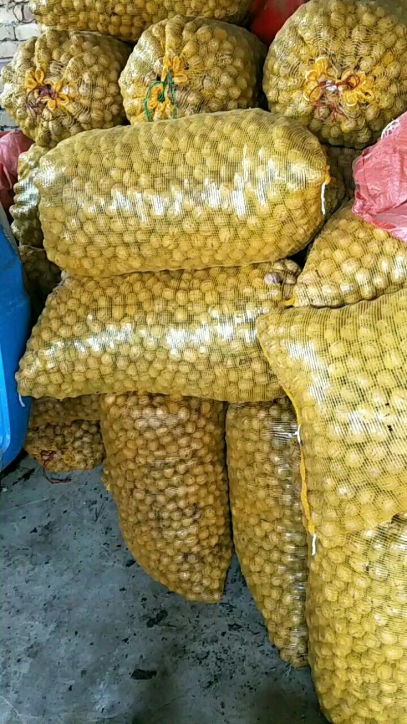 核桃