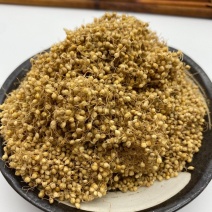 谷芽中药材新货干净无杂小米芽茶水