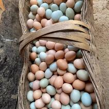 山林散养土鸡蛋