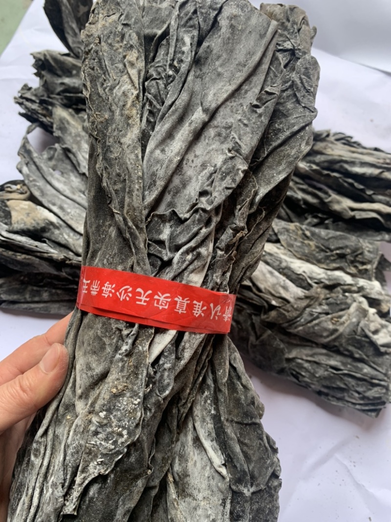 新货海带海带头福建全干海带头地摊展会产品批发