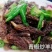 羊肚菌