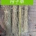 稻草，治沙草，帘子草，酒厂草，养殖厂草，量大从优