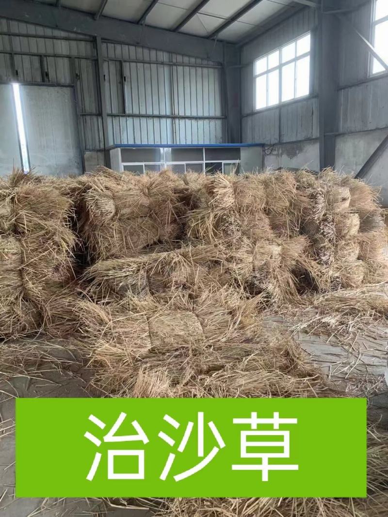 稻草，治沙草，帘子草，酒厂草，养殖厂草，量大从优
