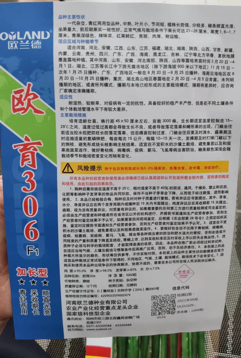 高品质！青红两用线椒种子墨绿皮加长型顺直辣椒种子基地用