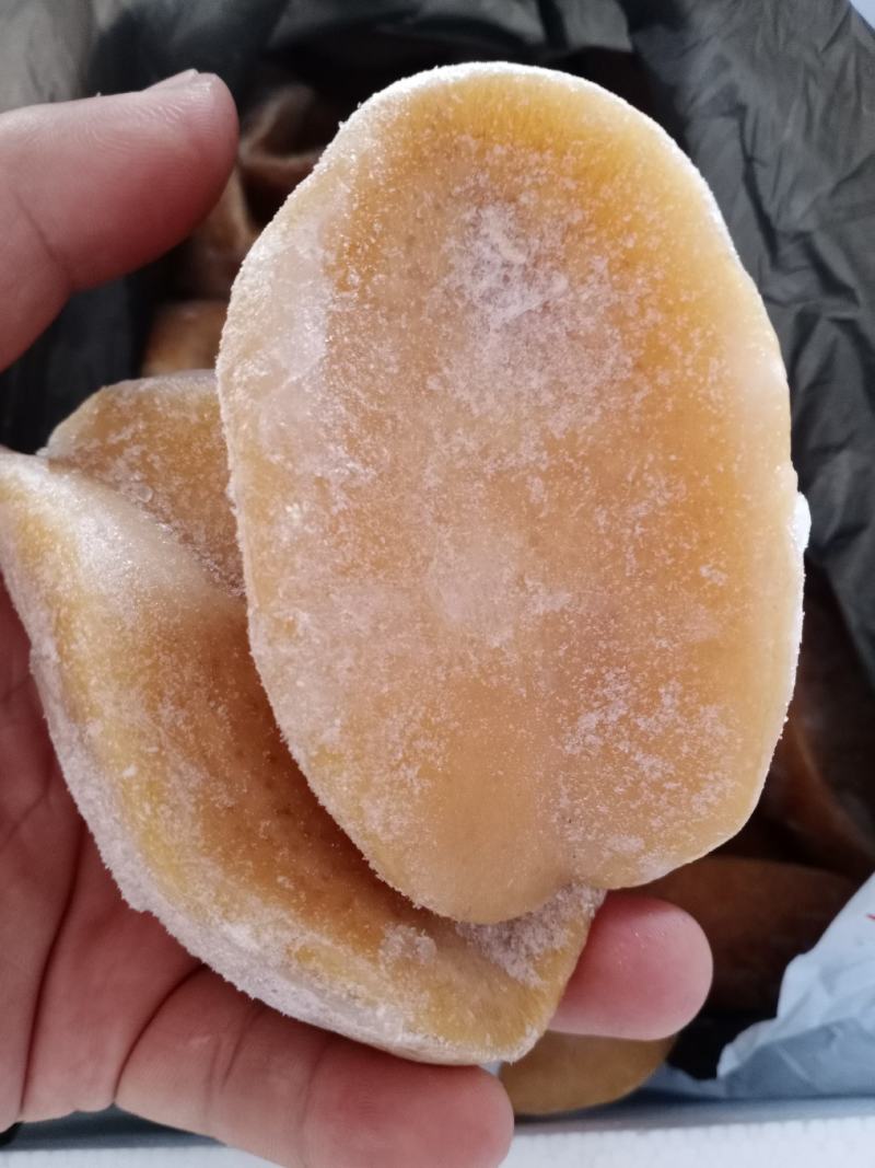 黄金鲍鱼澳鲍新鲜海鲜冷冻黄金大鲍鱼特大澳鲍螺肉