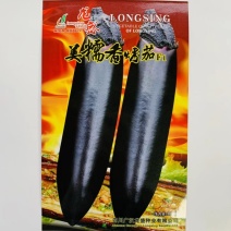 茄子种子美糯香烤茄早熟抗病果型美观口感细腻清香