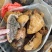 野生中药材桑黄，桑黄批发、零售，价格实惠