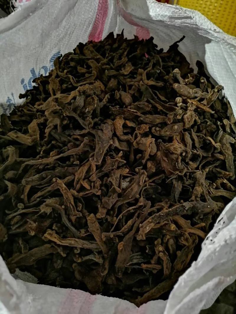 骨碎补大量现货，有需要大货的老板聊一聊