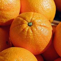 云南脐橙现摘现卖，新鲜无污泉水灌溉水果。