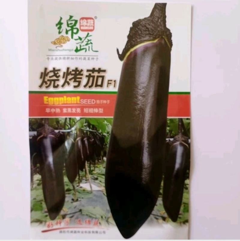茄子种子美味烧烤茄早熟丰产抗病果型美观肉质细嫩品质佳