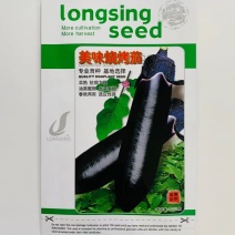 茄子种子美糯香烤茄早熟抗病果型美观口感细腻清香好吃
