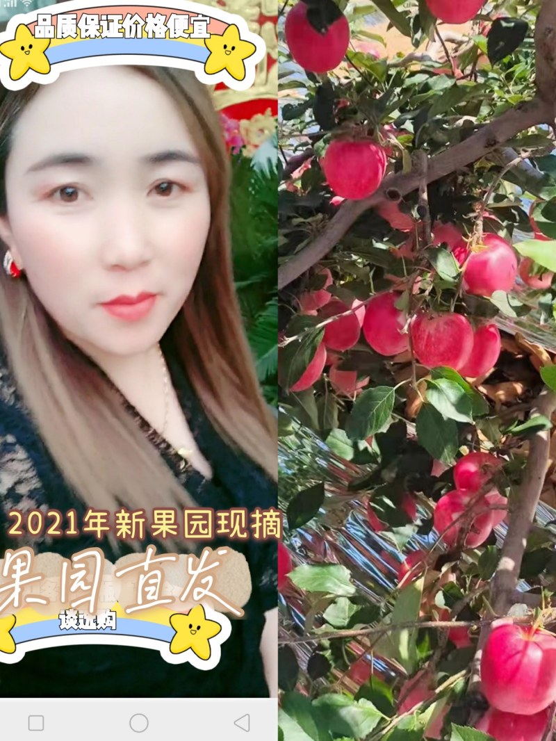 【红富士苹果】上市了大量现货开始入库接单质量保证全国发货