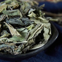 大青叶干货中草药干净无杂质