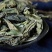 大青叶干货中草药干净无杂质