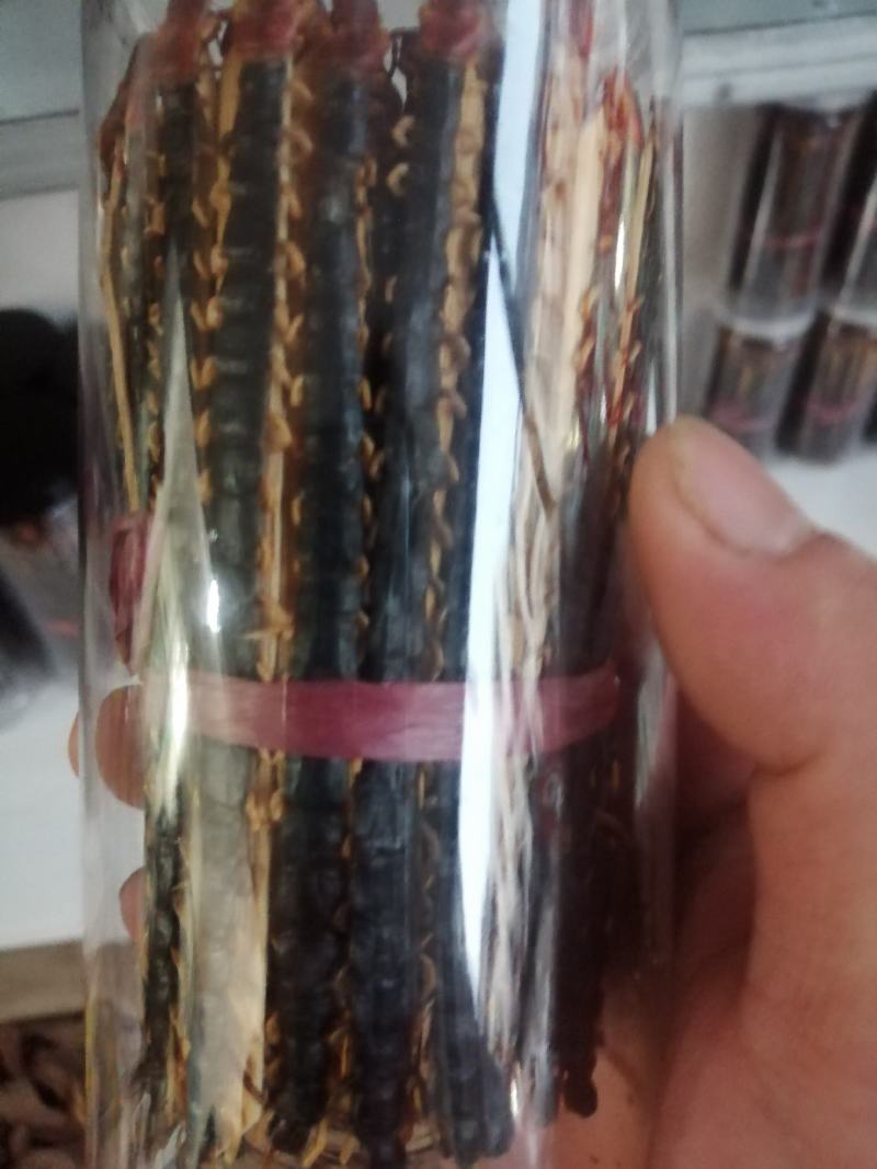 蜈蚣中药材蜈蚣野生无硫***经营各种规格中药材