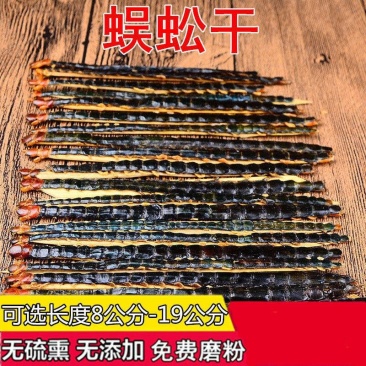 蜈蚣中药材蜈蚣野生无硫***经营各种规格中药材