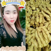 生姜大量批发！产地批发质优价廉，全国发货！可提供水洗服务