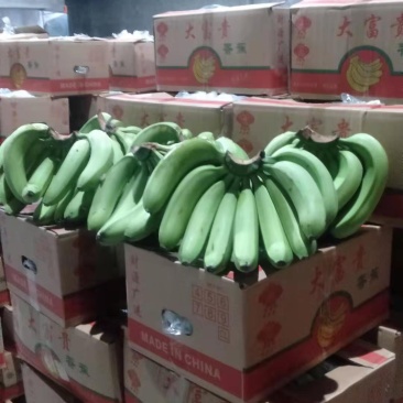 香蕉