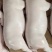 花猪乳猪