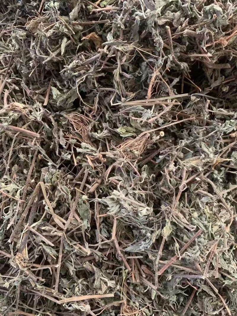 旱莲草【包邮】三斤起发货可批量可零售量大从优
